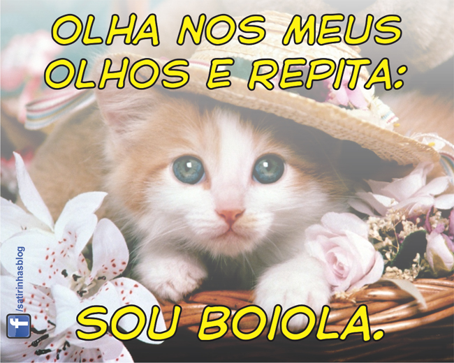 satirinhas-olha-nos-meus-olhos