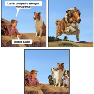 O cão é o melhor amigo do homem!