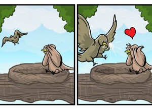 Os caminhos do amor