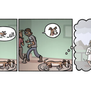 Meu cão é muito fofo!