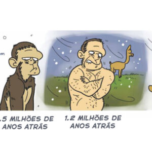 A evolução do homem