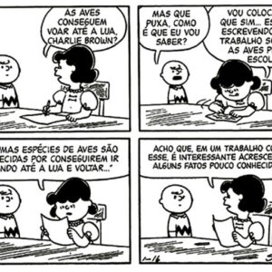 Importante descoberta sobre as aves