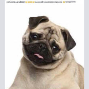 Ela precisa desesperadamente de um cachorrinho!