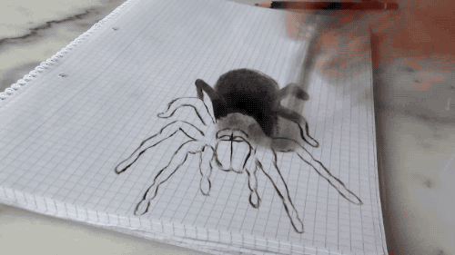 Incrível desenho 3d de uma aranha (1)