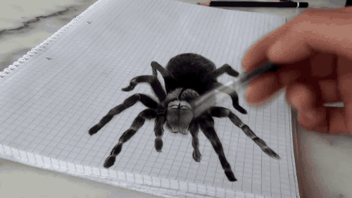 Incrível desenho 3d de uma aranha (2)