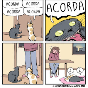 A mentalidade generosa de todos os gatos