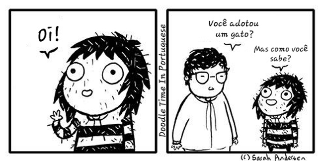 adotando-um-gato