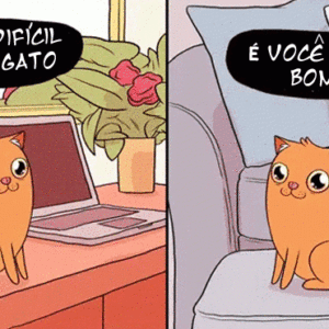 Você precisa conviver com a bunda de seu gato