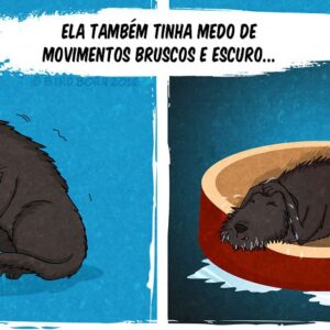 Adotando um cão abandonado