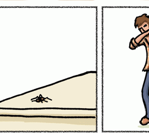 Você tem medo de aranhas?