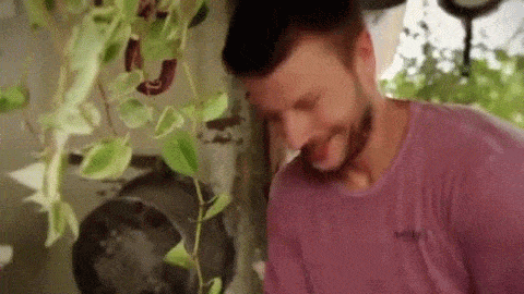 Rodrigo-Hilbert
