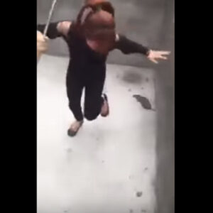 O desespero de uma mulher na luta contra um rato