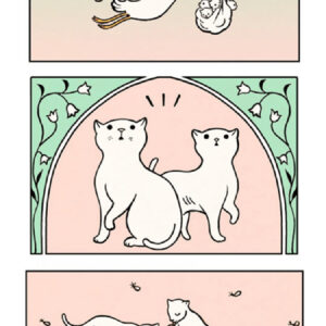 O mundo animal é muito louco