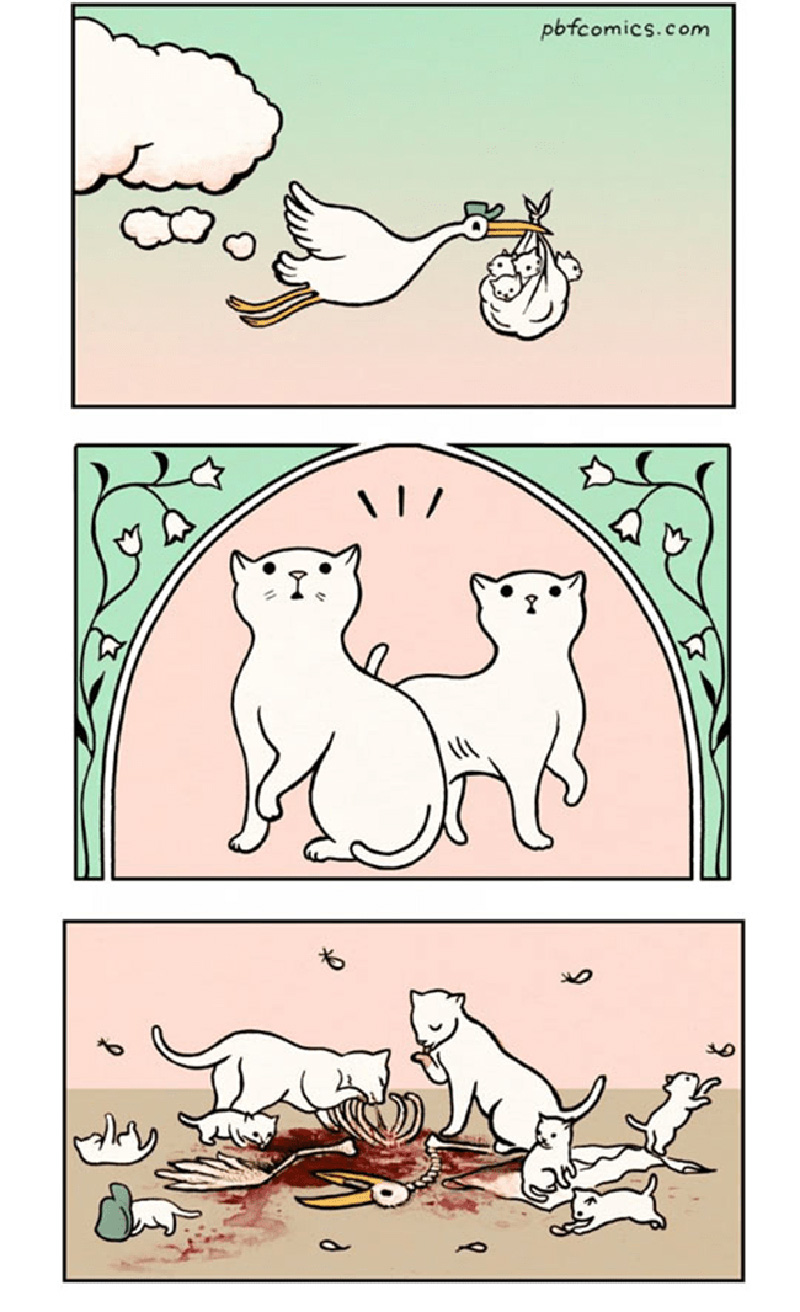 gatos-e-a-cegonha
