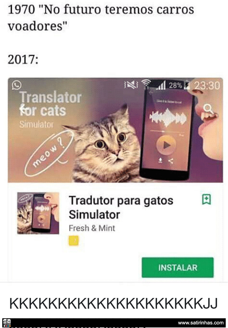 gatos-tradutor