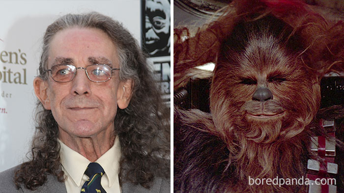Peter Mayhew, como Chewbacca, em Star Wars