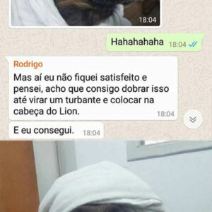 7 zoeiras com animais na internet para alegrar seu dia