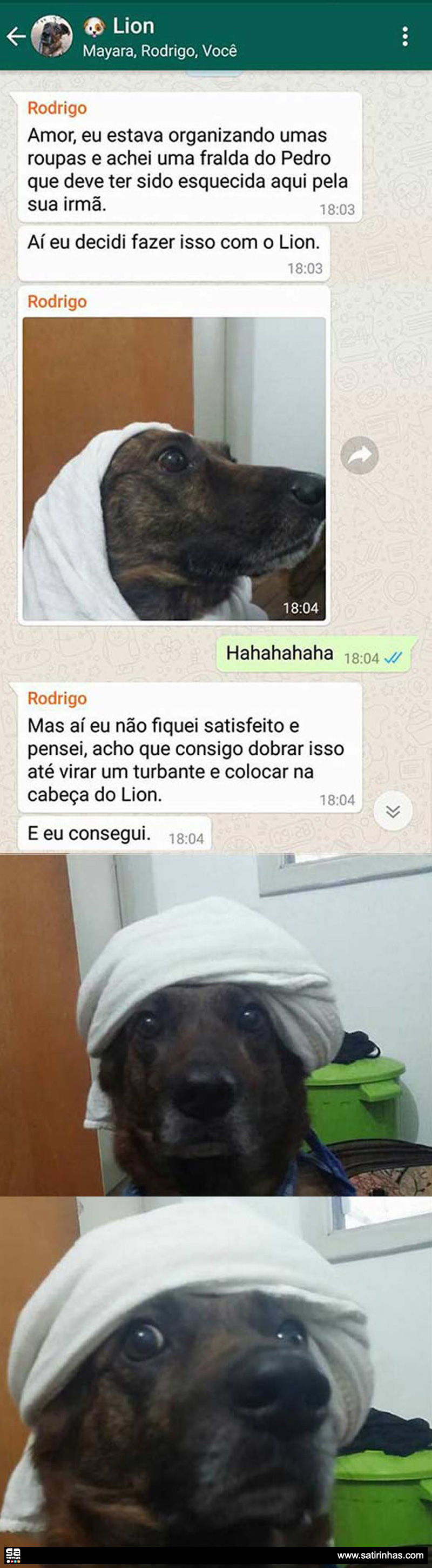 cachorro-com-turbante