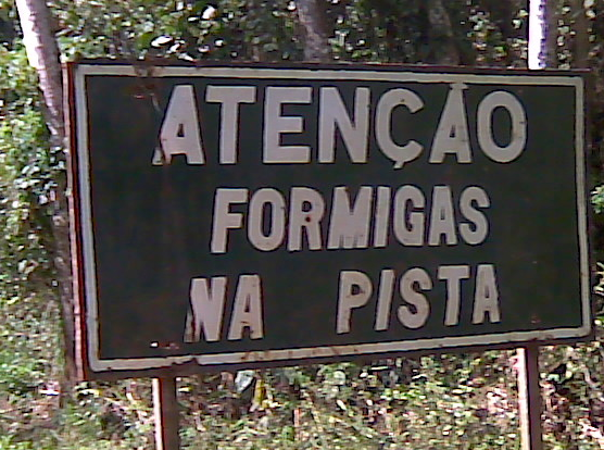 formigas