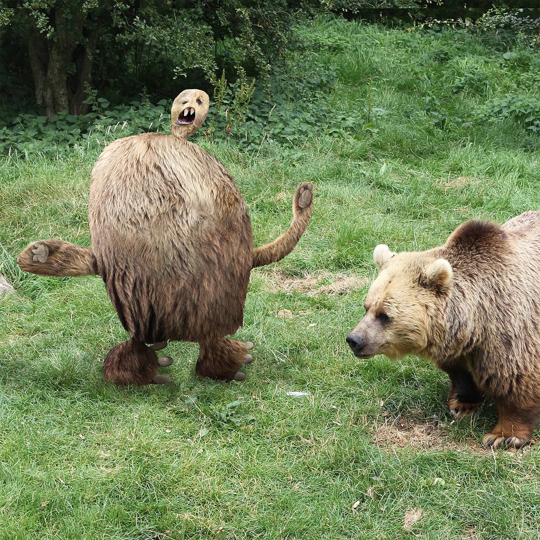 urso2