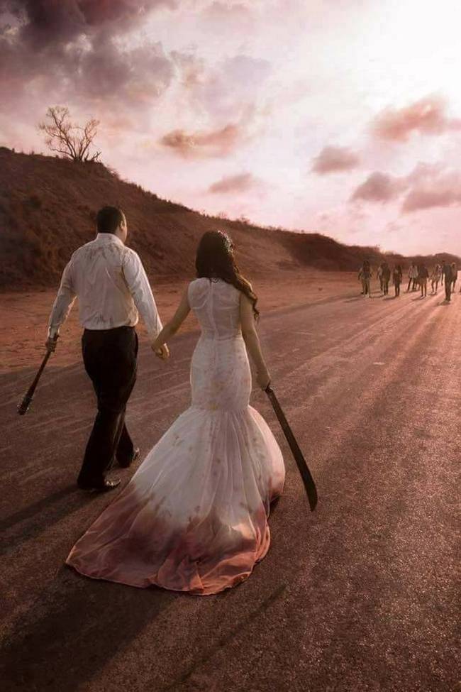 Book-inspirado-em-The-Walking-Dead