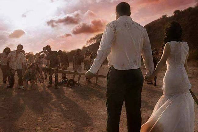 Book-inspirado-em-The-Walking-Dead5