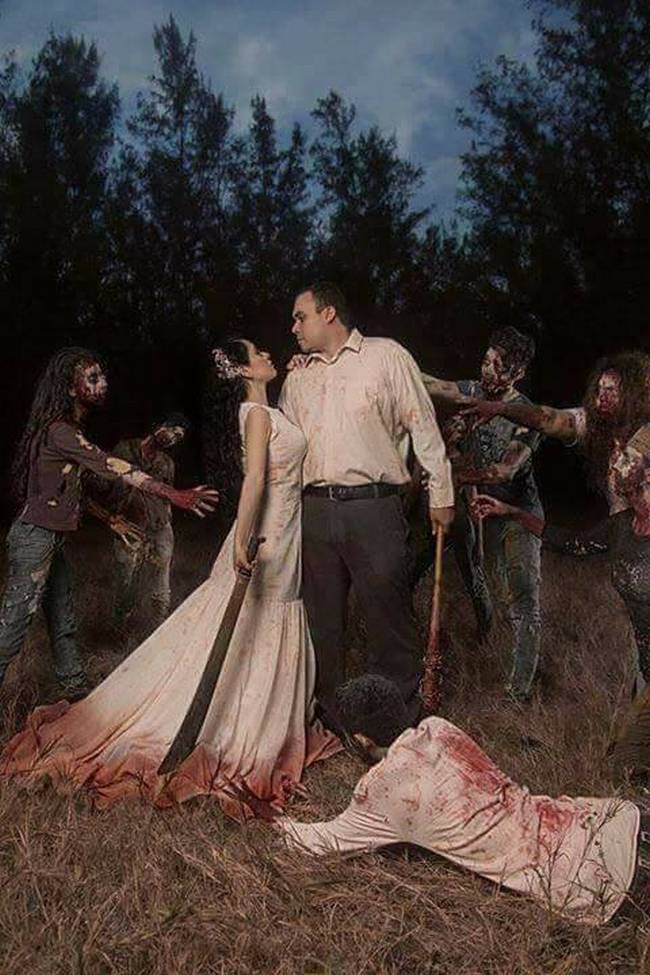 Book-inspirado-em-The-Walking-Dead6