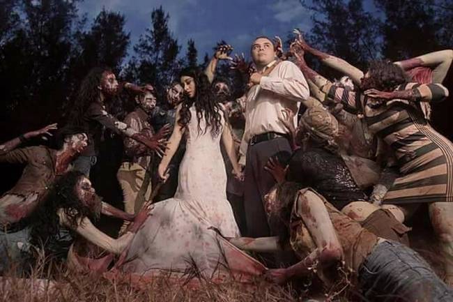 Book-inspirado-em-The-Walking-Dead7