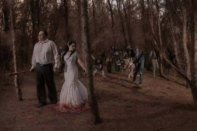 Book-inspirado-em-The-Walking-Dead9