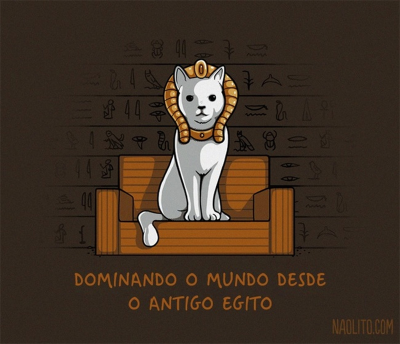 O poder dos gatos