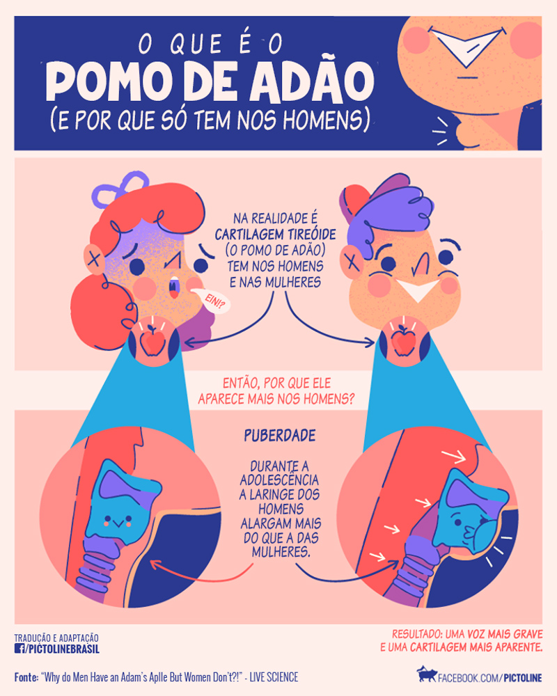 Curiosidades interessante