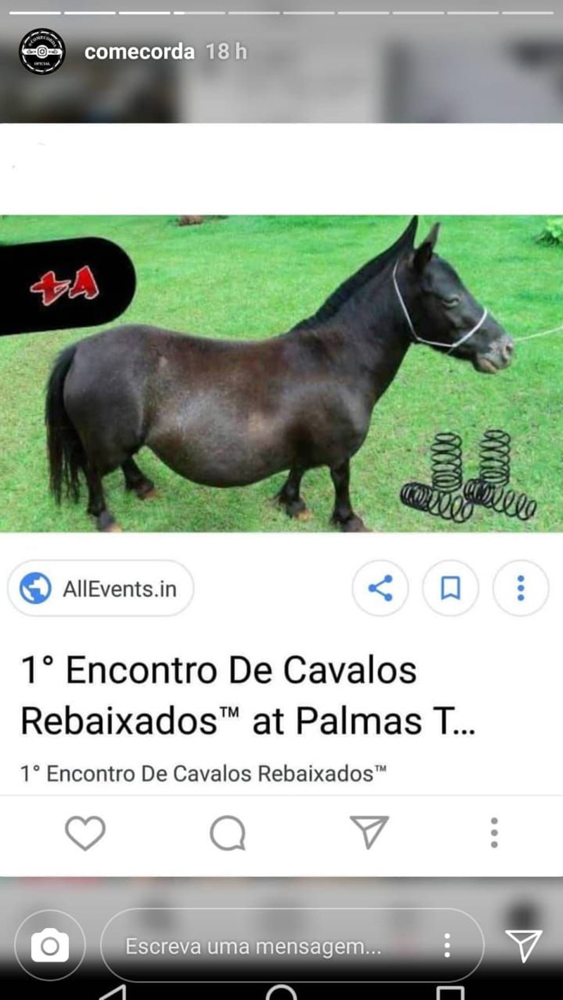 prints engraçados