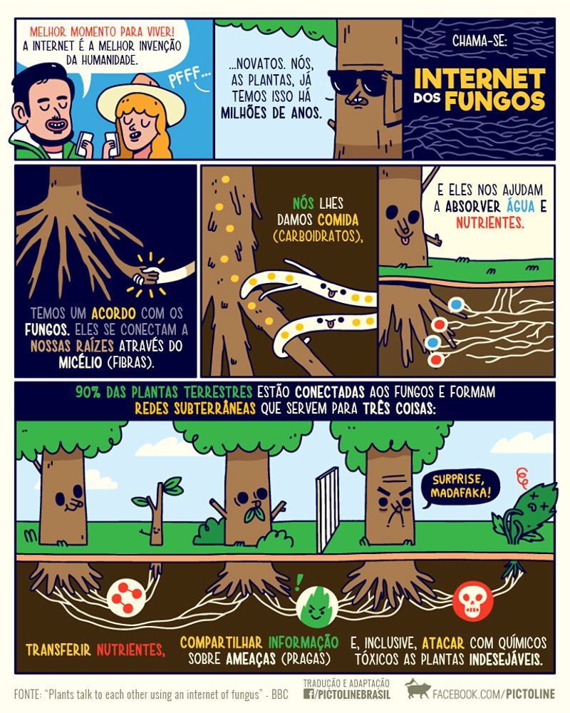 ecologia