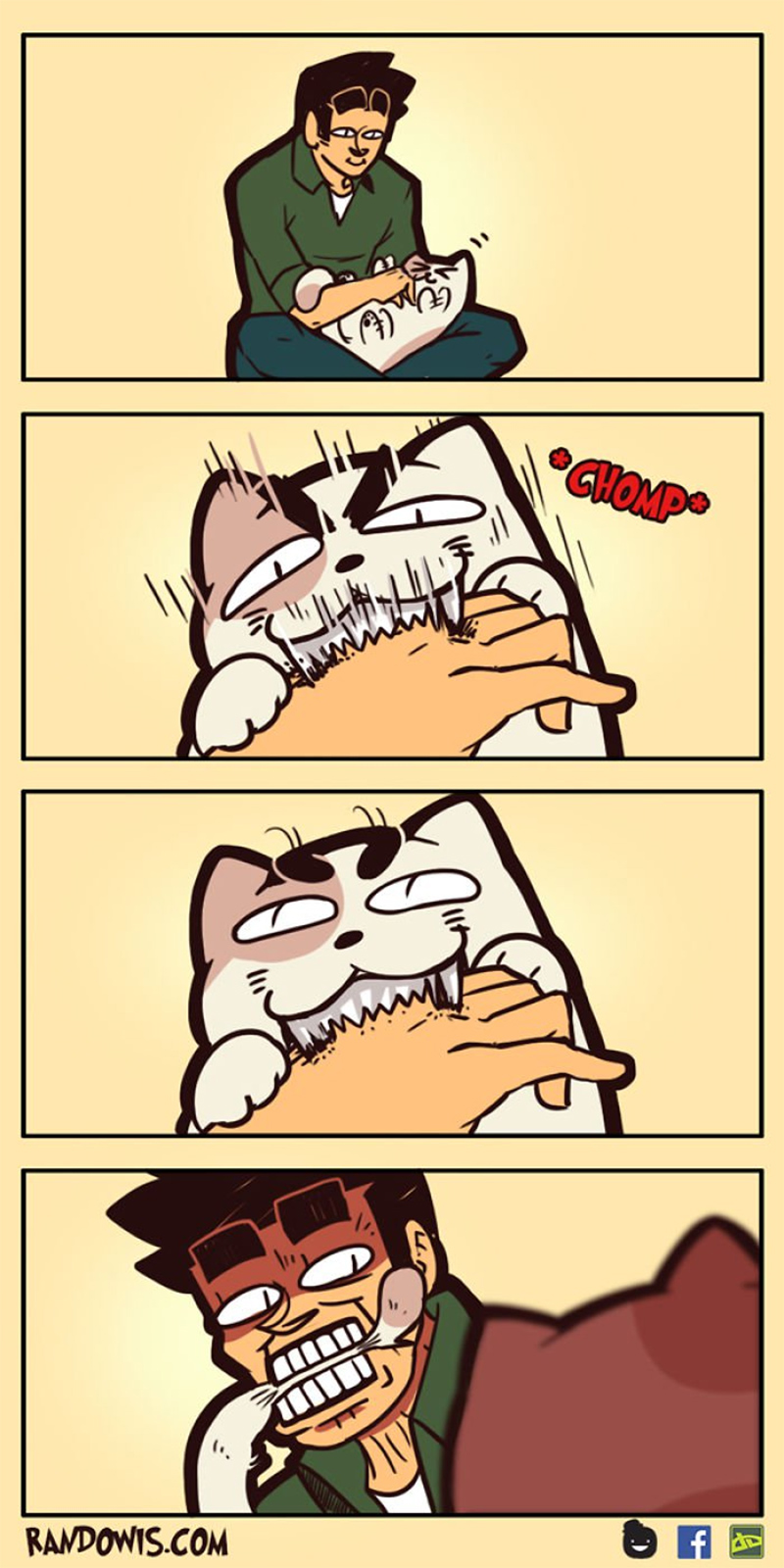 Dando o troco no gato