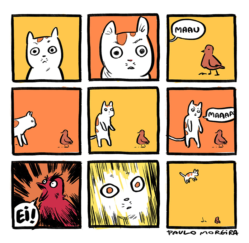 Nunca assuste um gato