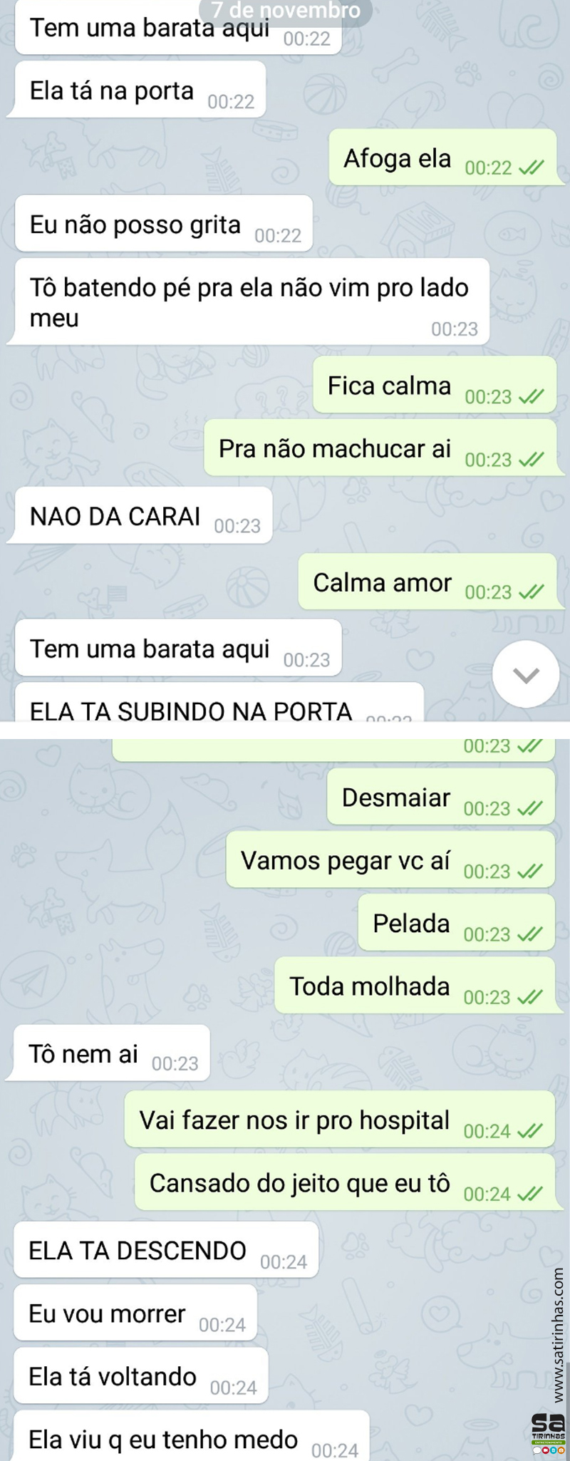 medo de barata