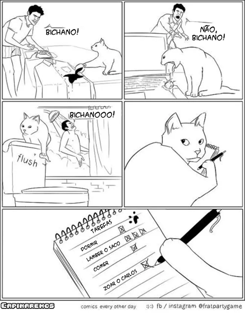 Um gato sacaneando um humano