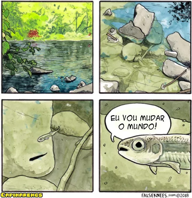 Um peixe de atitude