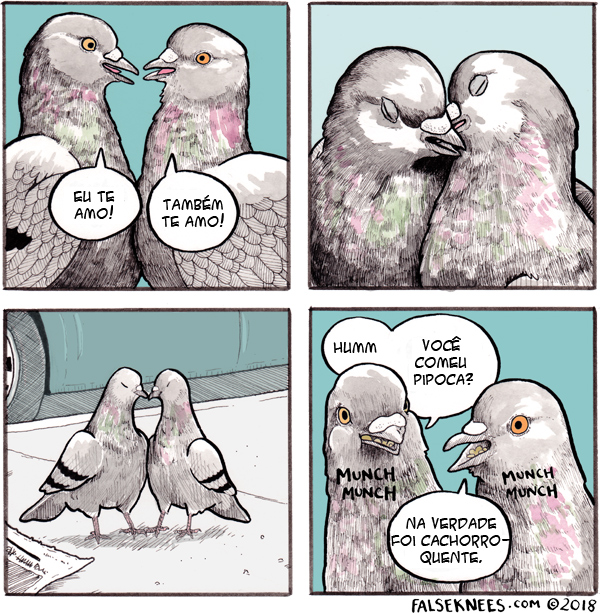 pombos fofinhos 