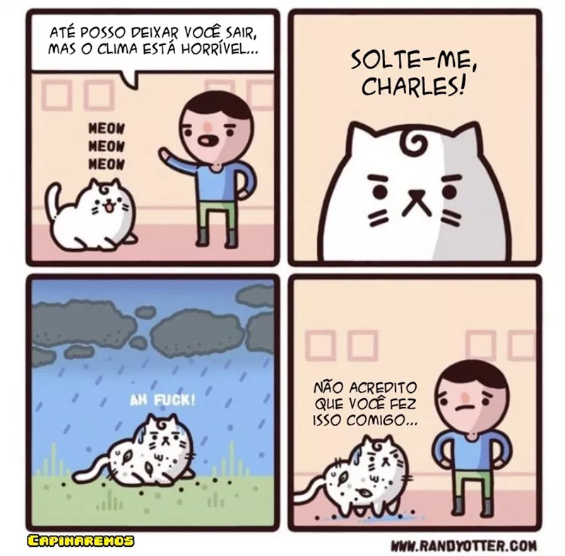 Um humano sacaneando um gato