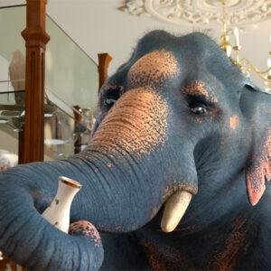 Um elefante numa loja de porcelanas causaria muito estrago