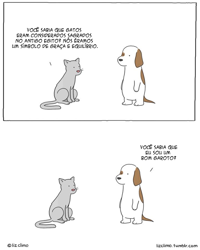 Uma conversa de cão e gato