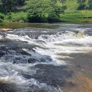 Cachoeira, sons e belas imagens da natureza para quem precisa de paz